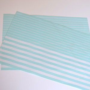 2/$20 Set of 2 Tiffany Blue Turquoise Aqua Dinner Placemats
